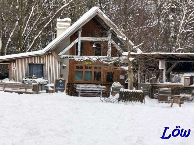 20.2.2026 - Schwarzes Schaf im Winteroutfit